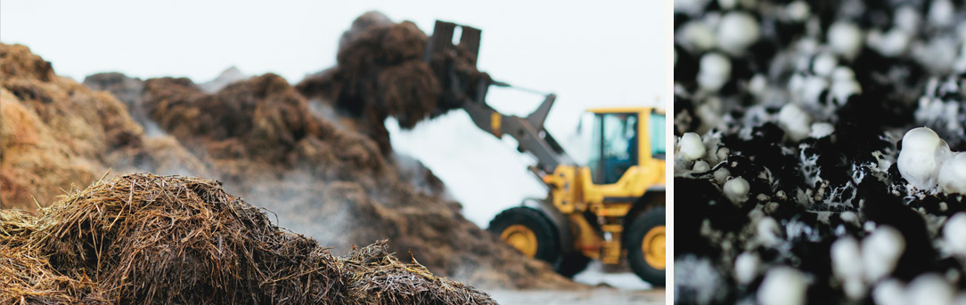 Substrate compost production