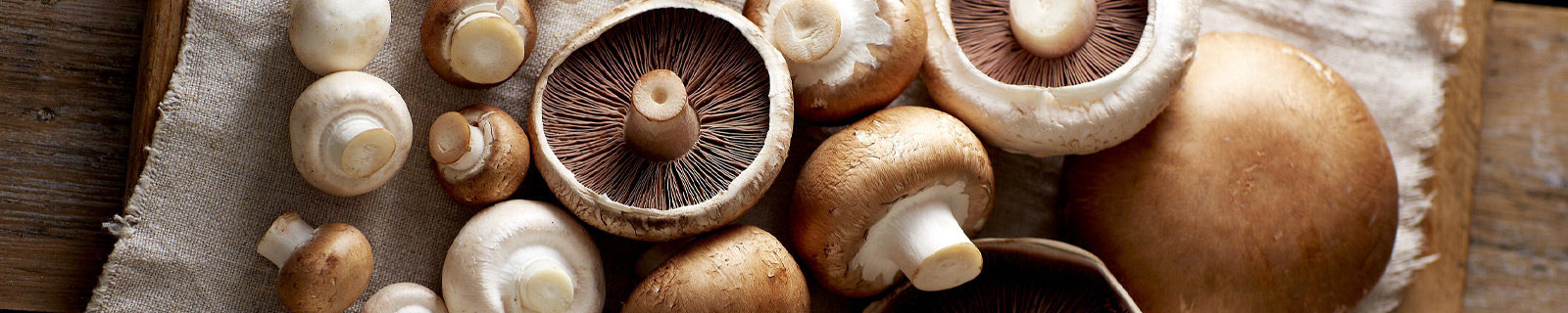 Monaghan selection of mushrooms