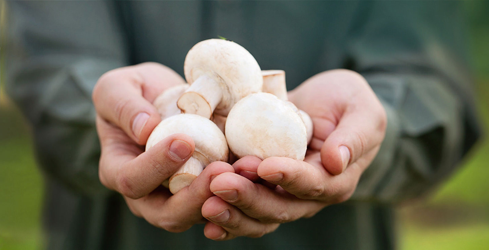 Monagan - doing great things with mushrooms