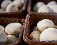 Mushrooms: Affordable, Nutrient-Rich Solution for Families